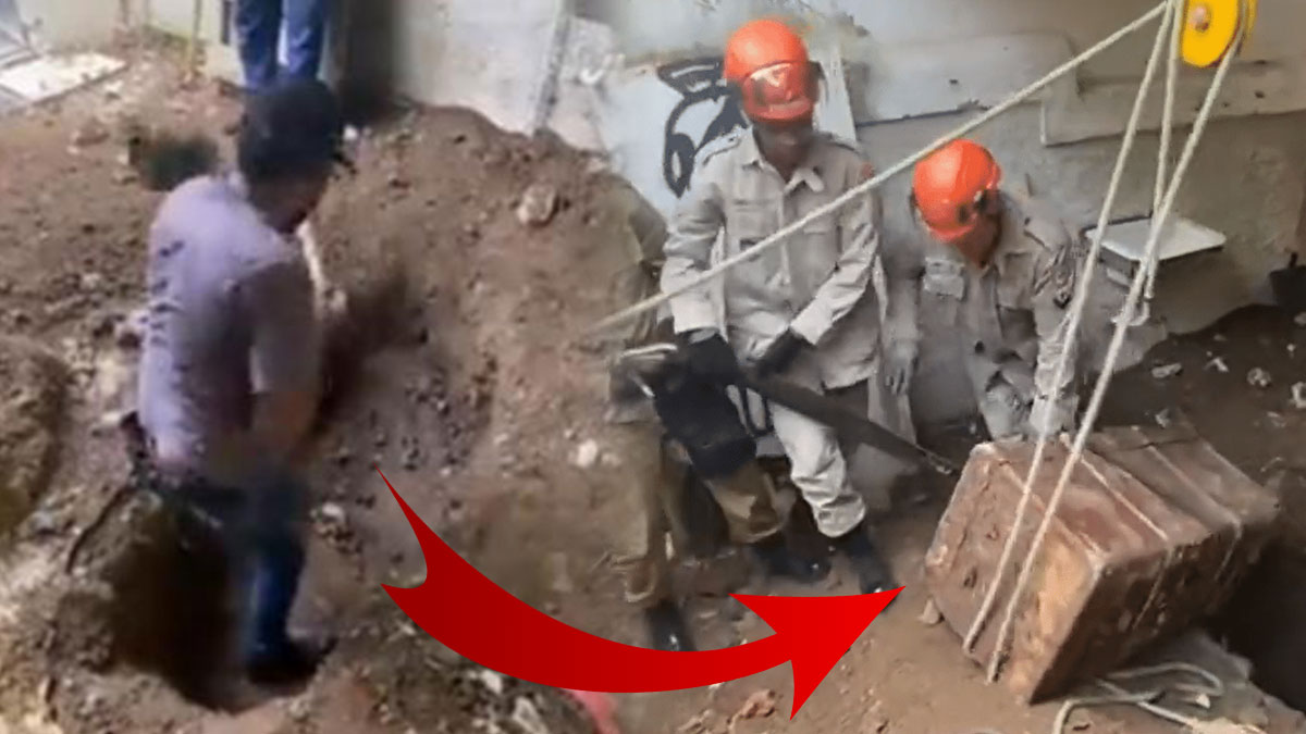 Ünlü oyuncunun cesedi, sandığın içinde toprağa gömülü halde bulundu! Korkunç gerçeği evcil hayvanlar ortaya çıkardı