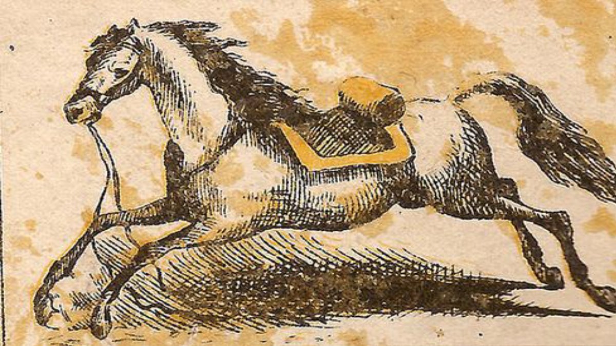 Resimde gizlenen at binicisini 9 saniye içinde bulabilir misin? İnsanların %99'u başarısız oldu!