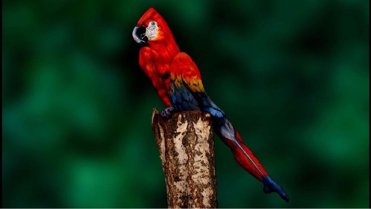 Sadece çok zeki insanların %1'i resimdeki gizli kadını 10 saniyede bulabiliyor! Şimdi zekanı test et