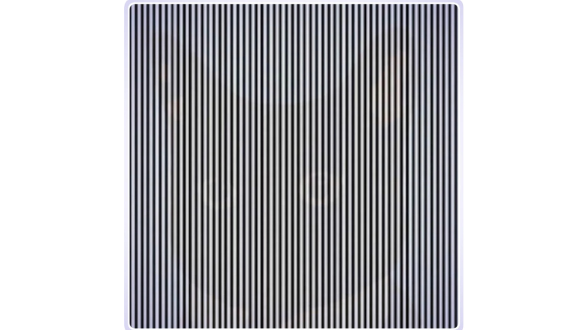 İnsanların %99'u çizgilerin arasındaki gizli hayvanı bulamıyor! 5 saniyede bulanların IQ'su en az 150 çıkıyor!