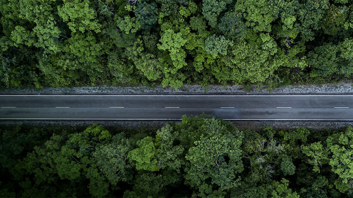 Zer, “Duyarlı Seyahat” diyerek hem fidan bağışladı, hem kadın sürücüleri teşvik etti