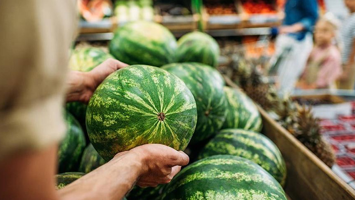 Seçtiğiniz karpuz tadından yarılacak! Karpuzun iyisini tokatlayarak anlayacaksınız: Sulu ve olgun karpuz nasıl seçilir?