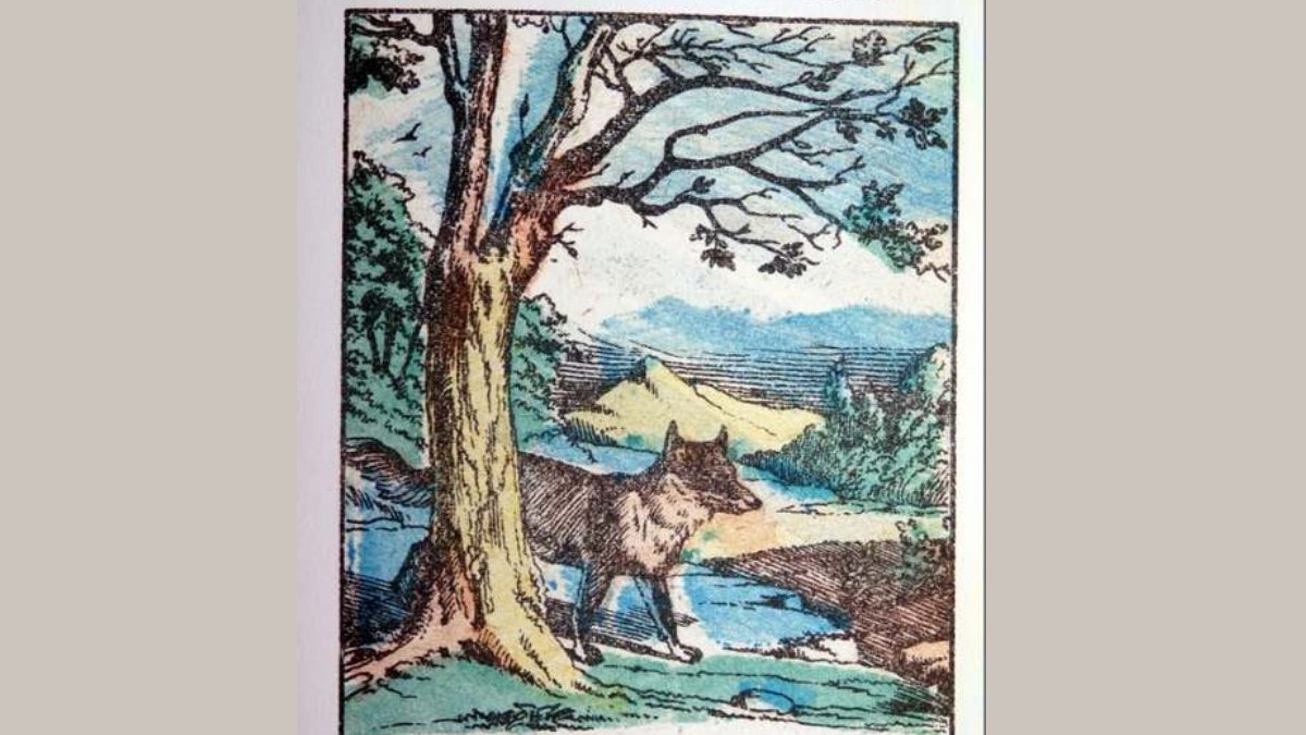 Kurttan saklanan kargayı 6 saniyede bulanların IQ seviyesi en az 160 çıkıyor! İnsanların %99'u bulamadı!