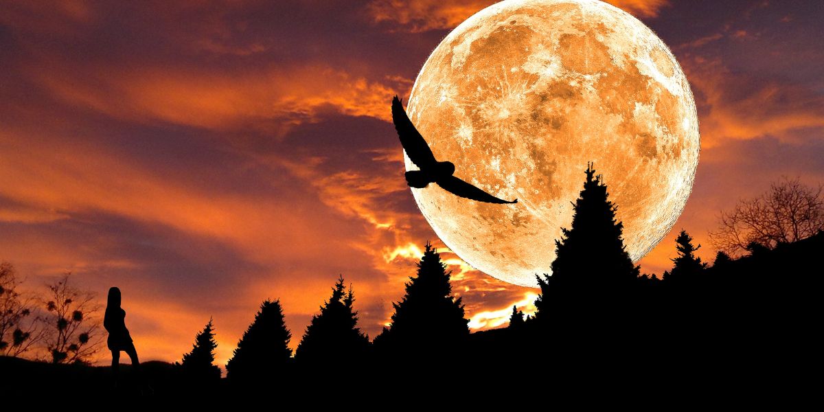 Kişilik testi: Neyi kaçırmaktan korkuyorsunuz? İlk gördüğünüz şey onu ortaya çıkaracak!