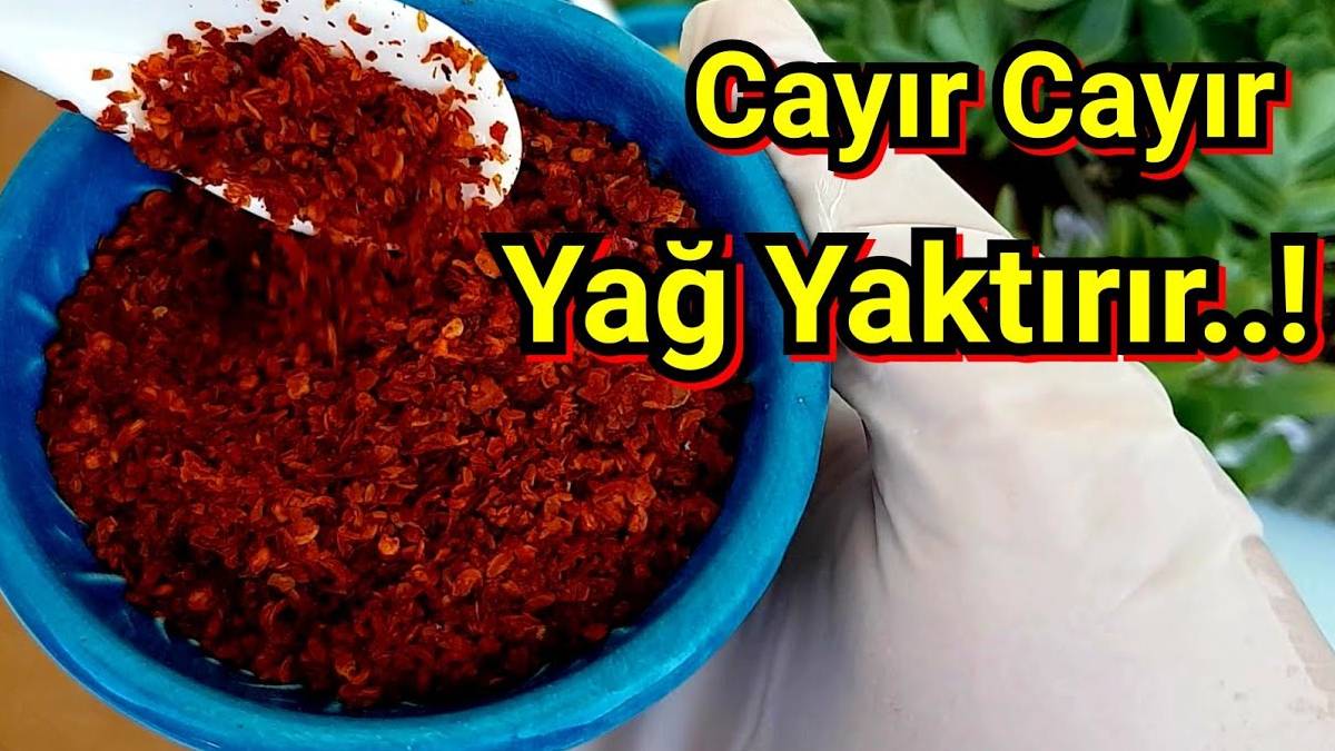 Her gece yatmadan bu karışımdan bir kase yiyen incecik olacak! Uykuda bile kilo verdiriyor