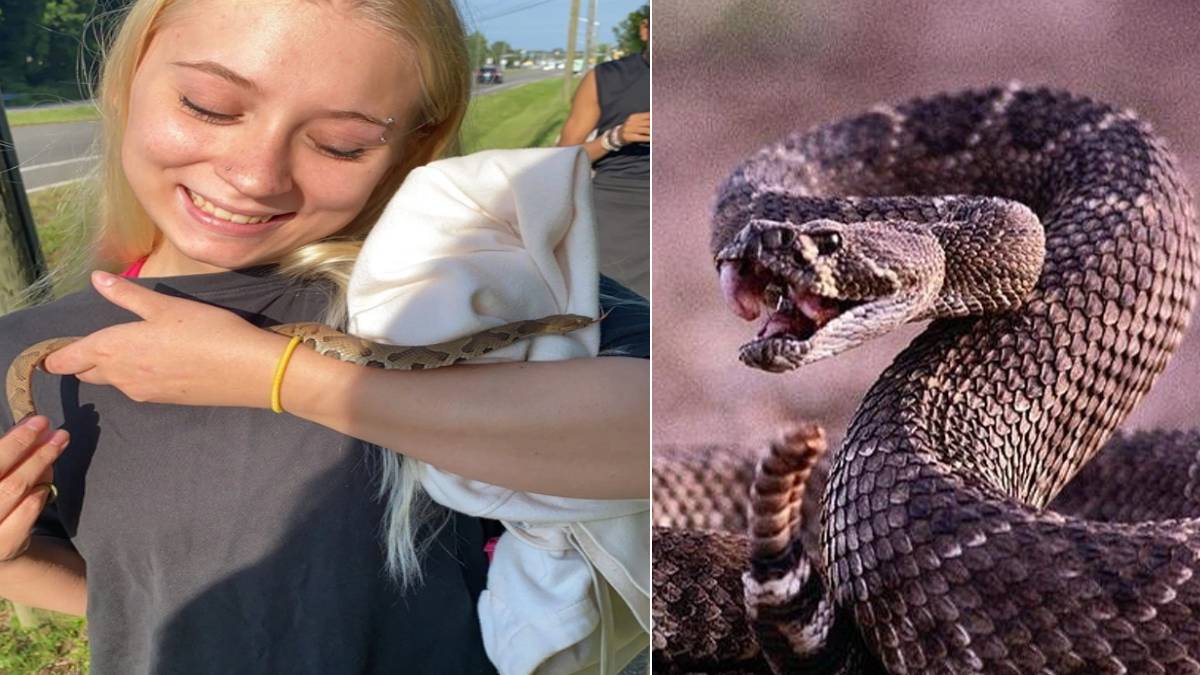 Yılanı eline alıp sevmek istedi... Yaptığı hareketle canından oluyordu! Genç kızın hazin sonu