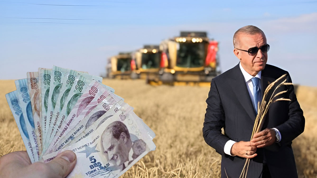 Çiftçiye dev teşvik müjdesi: Kimse bu rakamı beklemiyordu! Cumhurbaşkanı Erdoğan, buğday ve arpa fiyatlarını açıkladı