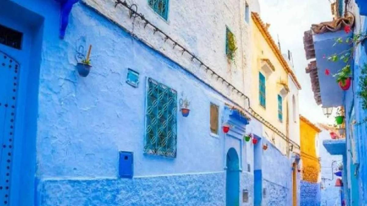 Yalnızca dikkat yeteneği %100 olanlar bulabiliyor! Yaramaz kediyi 9 saniyede bulanların dahi olduğu ortaya çıktı!