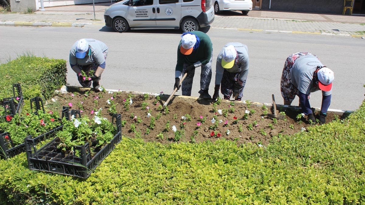 Burhaniye çiçeklerle renkleniyor