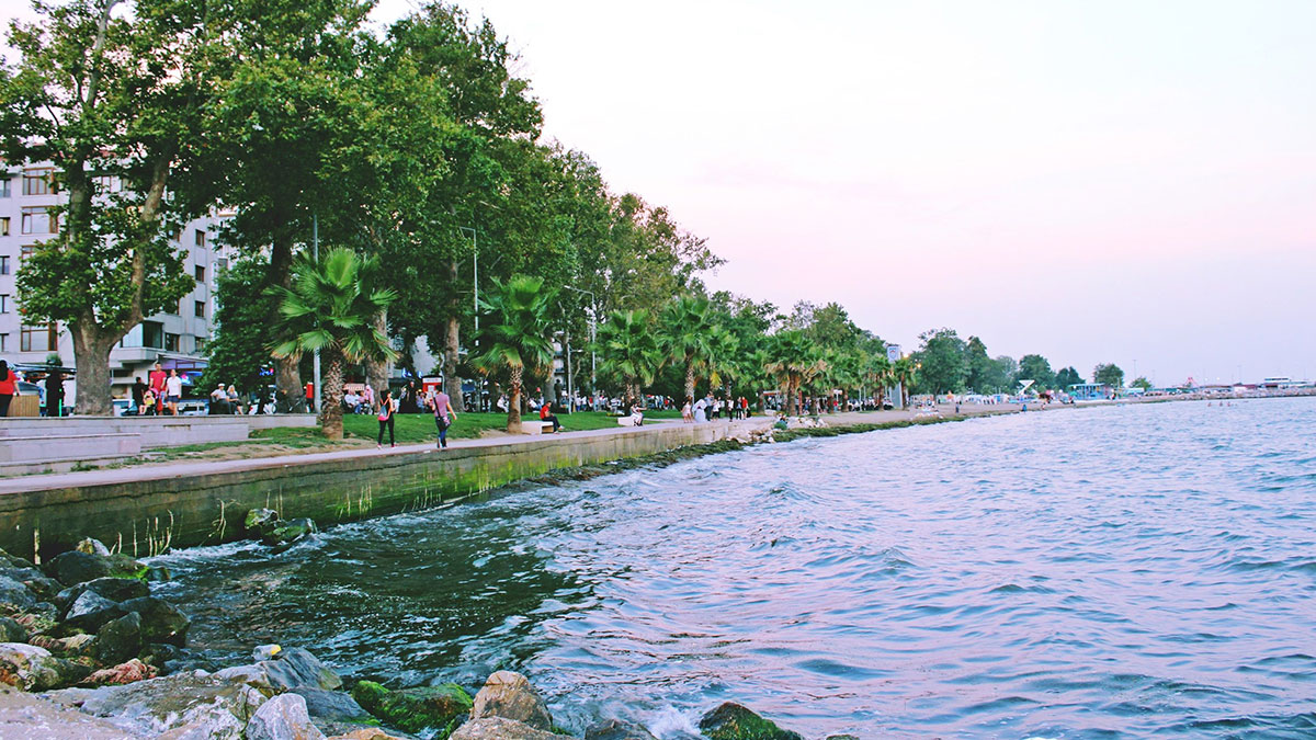 Marmara Denizi'ne kıyısı olan bu şehirde oturanlar tehlike altında! Hem insanları, hem de balıkları tehdit ediyor