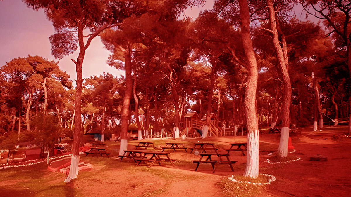 Türkiye'ye 'istila' öncesi son kritik uyarı! Çok sayıda ölüme neden olabilir, bu 5 tavsiyeyi hemen uygulayın