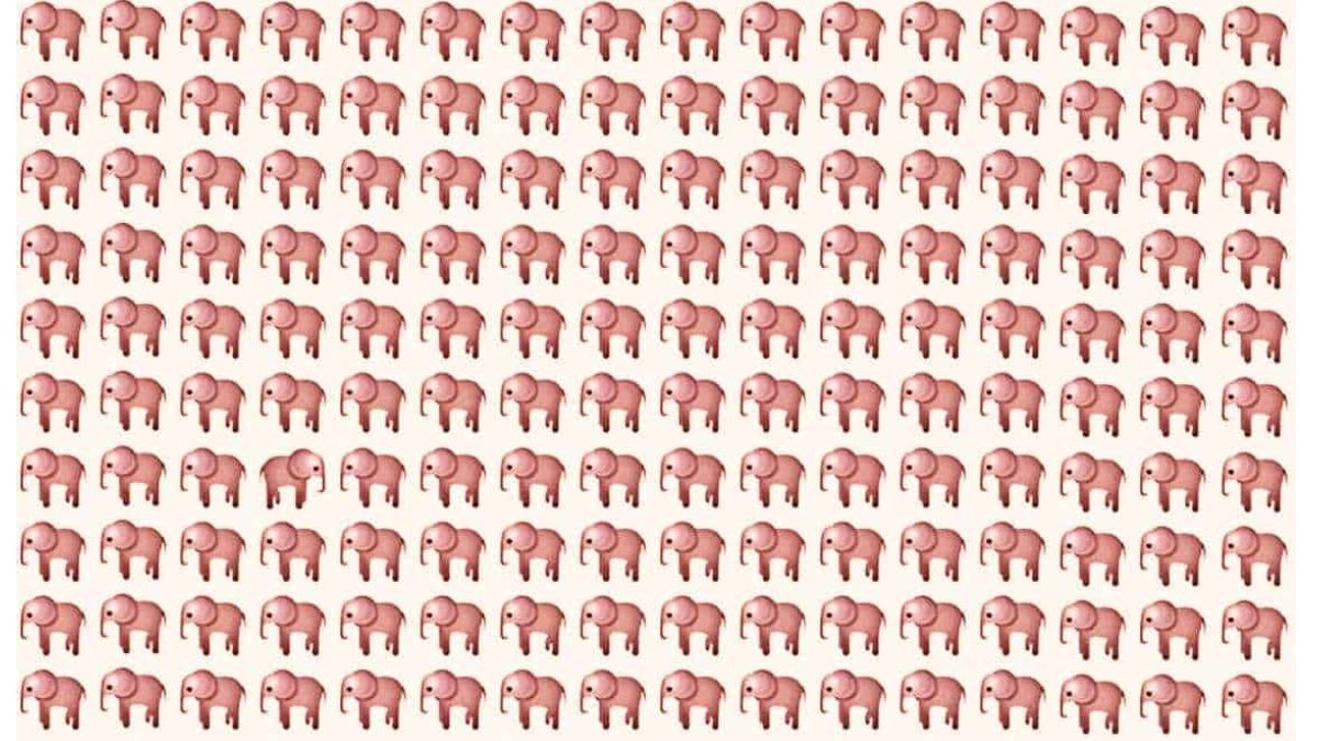 Yalnızca en keskin gözlere sahip olanlar resimdeki farklı fili bulabiliyor! 7 saniyede bulabilir misin?