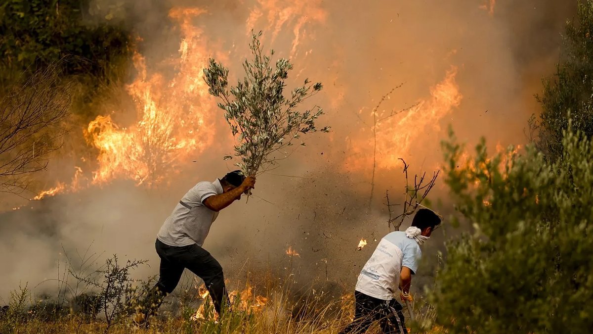 Ormanları 'liyakat' sorunu yok ediyor: Türkiye 'yangın' sınavına hazır değil