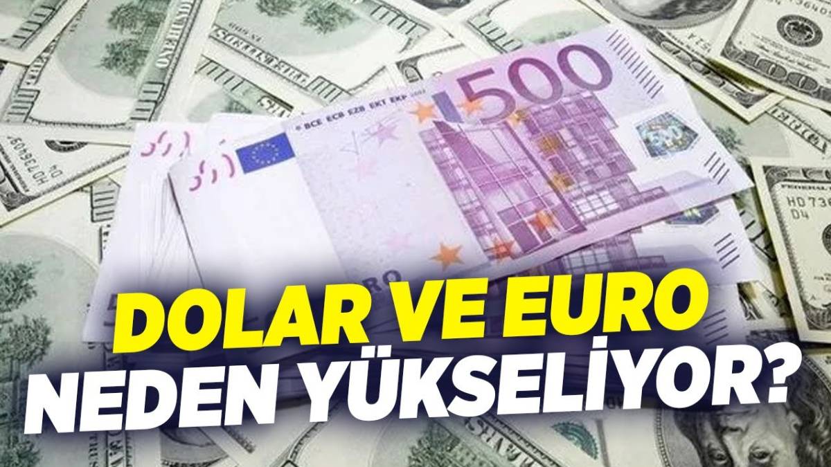 Doların yükselişinin ardındaki neden belli oldu! Selçuk Geçer tek açıklamayla duyurdu: 23 TL'ye fırlamıştı