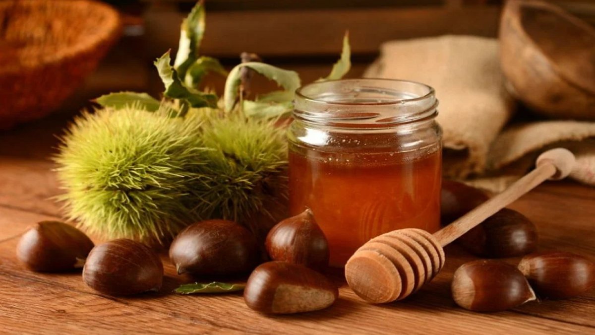 Kestane Balının Faydaları