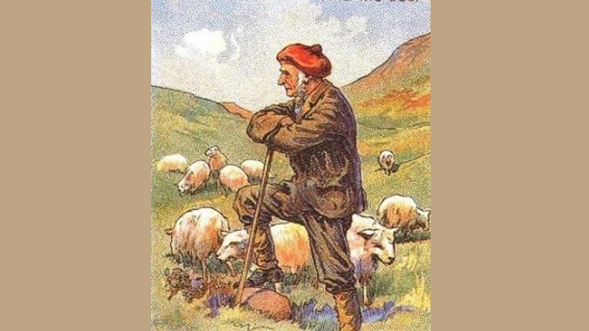 Resimdeki çobanın gizli köpeğini bulanların IQ seviyesi en az 160 çıkıyor! Şimdi zekanı test et