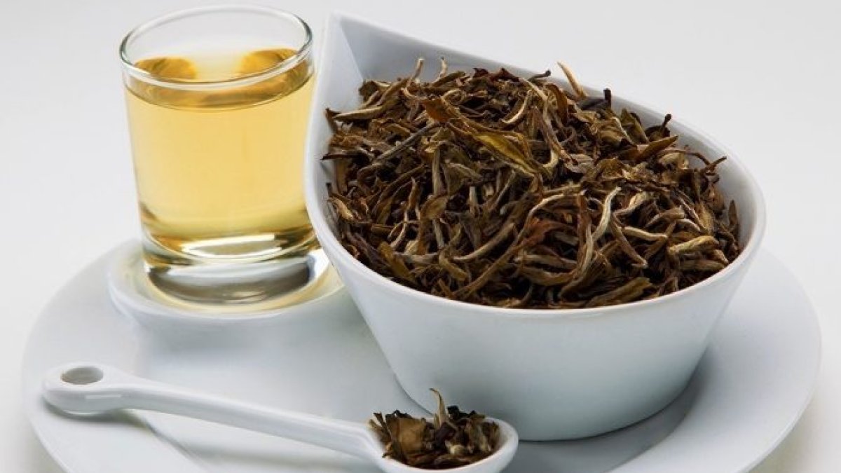 Beyaz Çayın Faydaları