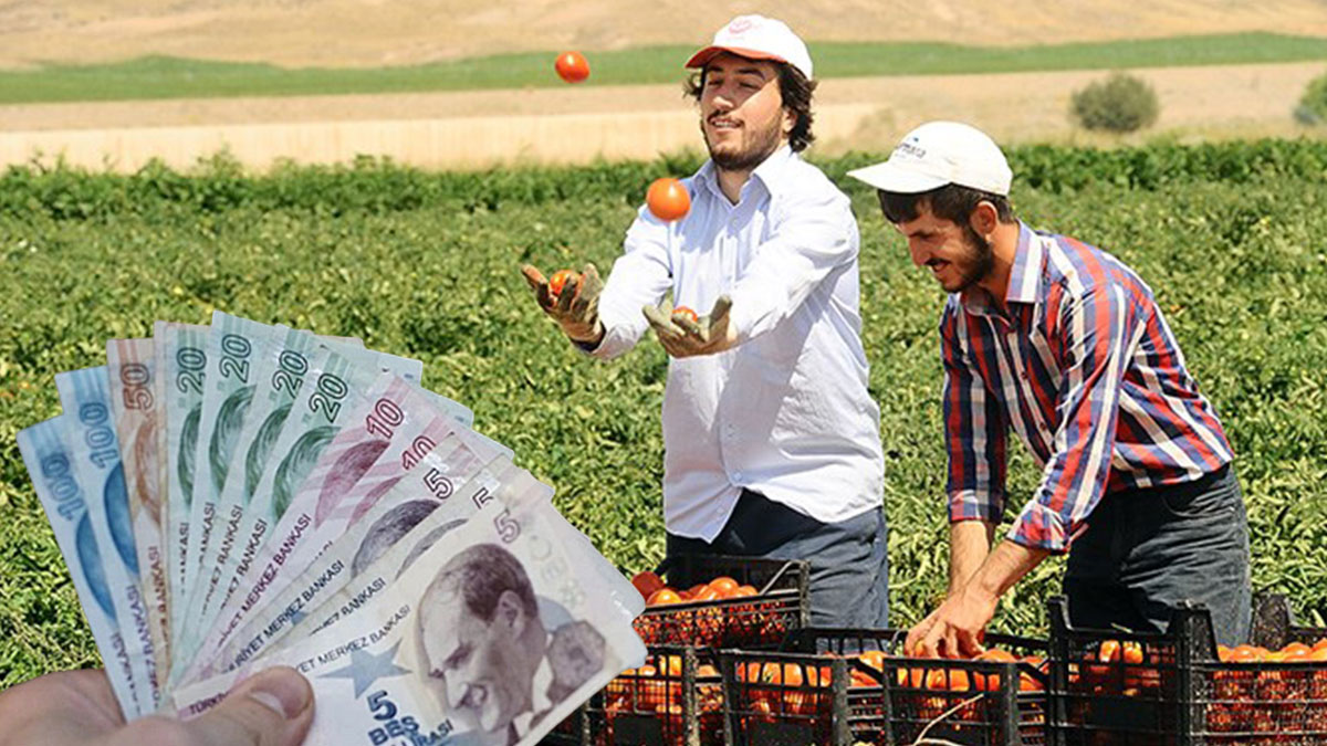 Çiftçilere devlet desteği ödemesi başladı! Başvuru yapan çiftçilere binlerce lira ödeme