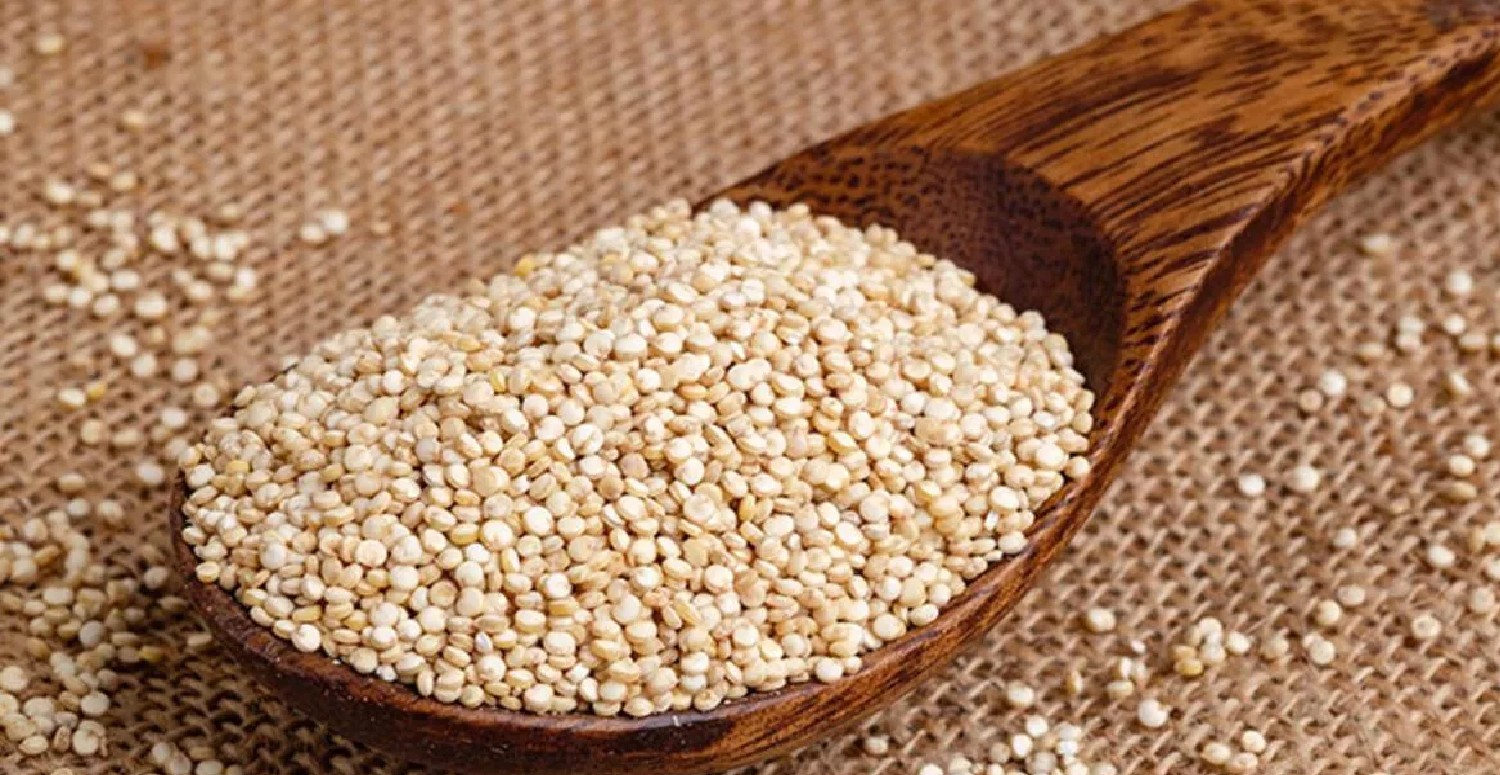 Bu besini tüketenin ağrı kesiciye ihtiyacı yok! İçinde etten 25 kat fazla protein var