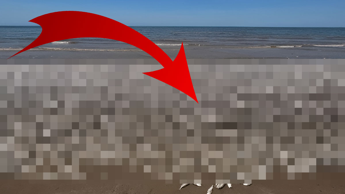 Sahilde gördüğü korkunç manzara karşısında hüngür hüngür ağladı! Yetkililer daha kötüsünün yaşanacağı uyarısını yaptı