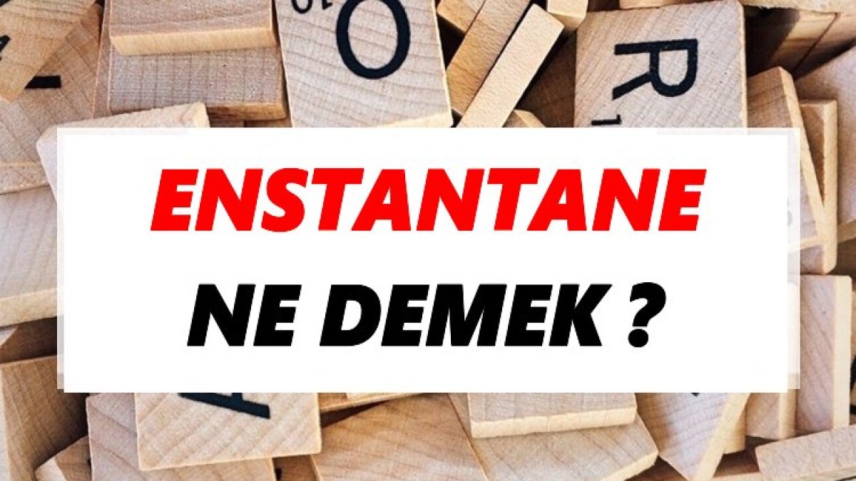 Enstantane Nedir?