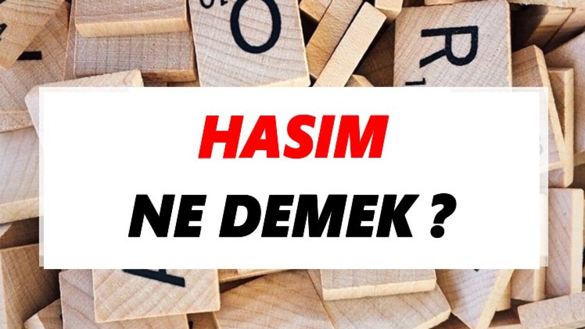 Hasım Ne Demek? - Türkçede Hasım Kelimesinin Anlamı ve Kullanımı