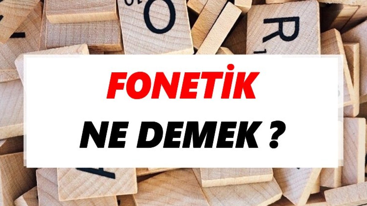 Fonetik Nedir: Dilin Sesbilim Dalı Hakkında Kapsamlı Bir İnceleme