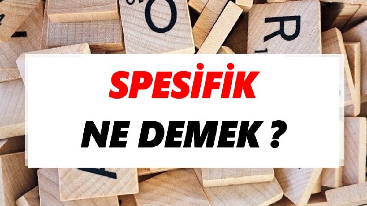 Spesifik Nedir?