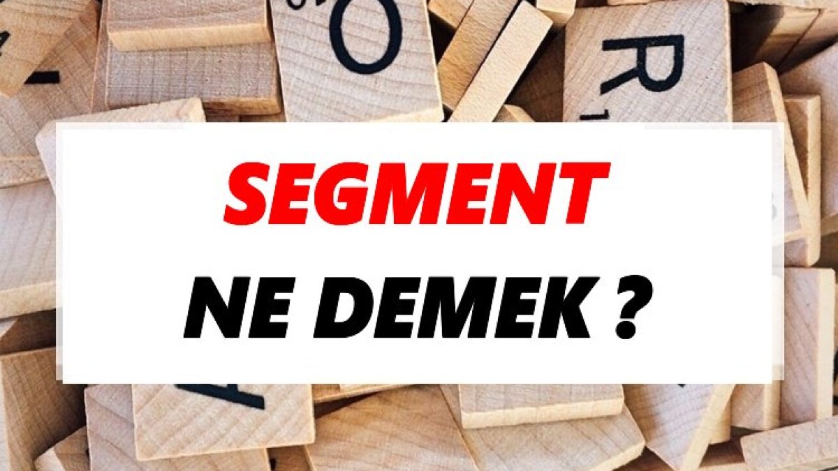 Segment Nedir?