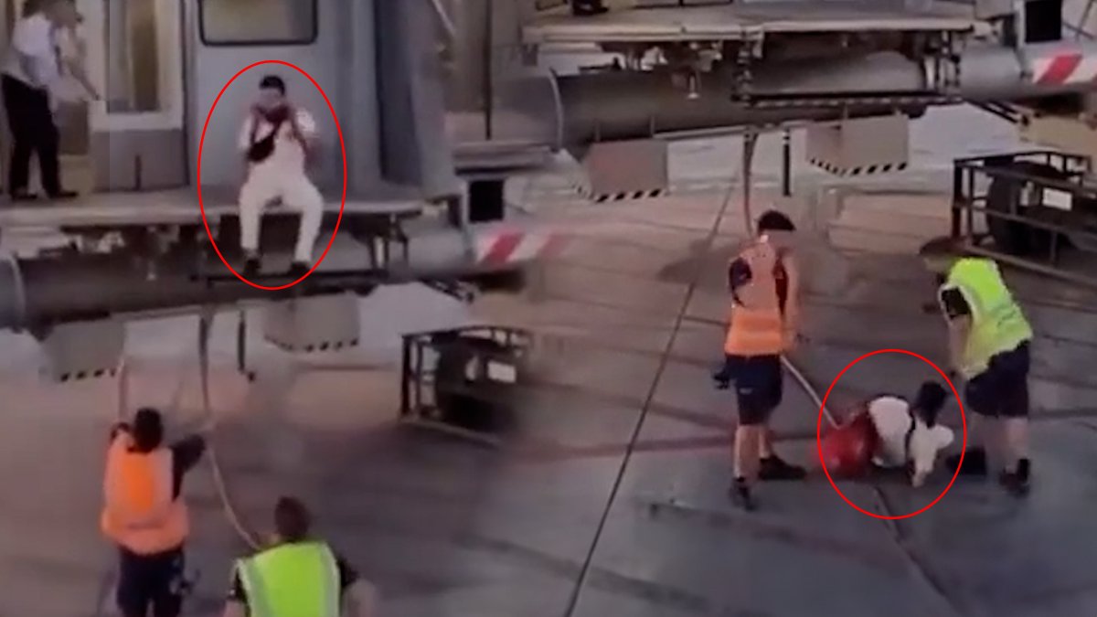 Uçağını kaçıran yolcu körükten atlayıp uçağa koşmaya çalıştı!