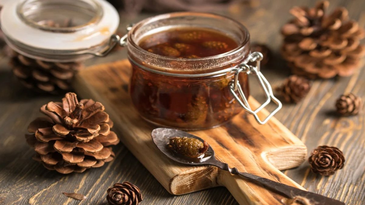 Çam Kozalağı Şurubunun Faydaları