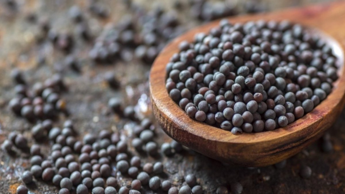 Siyah Hardal Tohumunun Faydaları