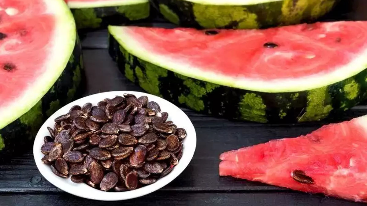 Karpuz çekirdeğini sakın atmayın! Ne işe yaradığını görünce pişman olacaksınız: Karpuz çekirdeğini tüketmenin yolları