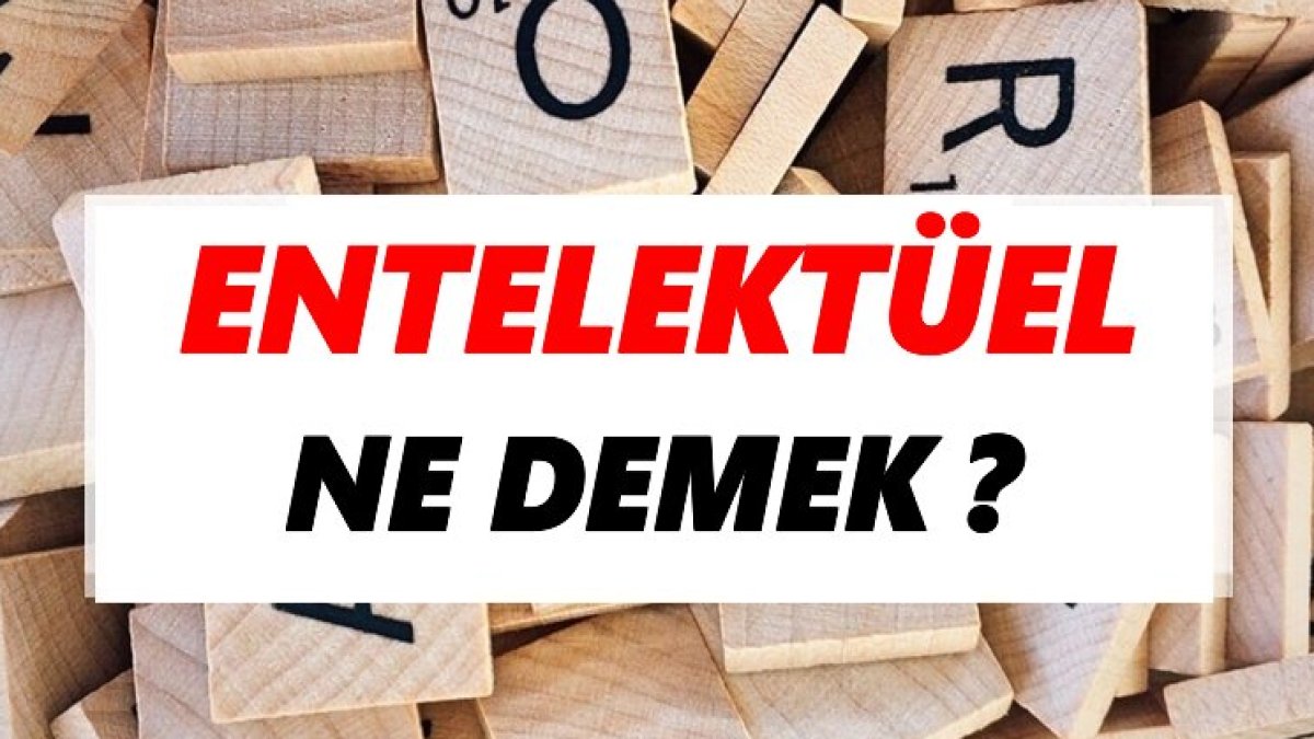 Entelektüel Nedir?