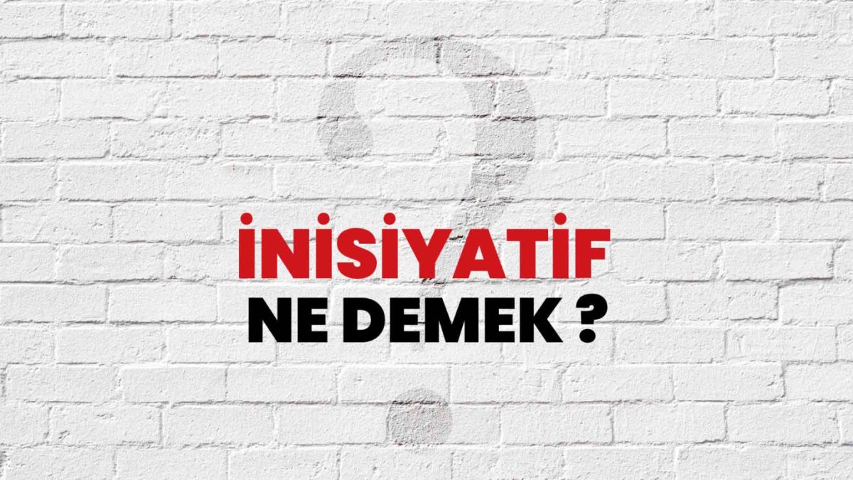 İnisiyatif Ne Demek?