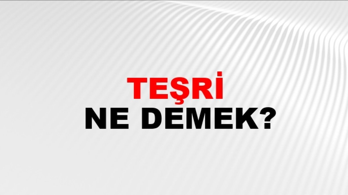 Teşri Ne Demek?