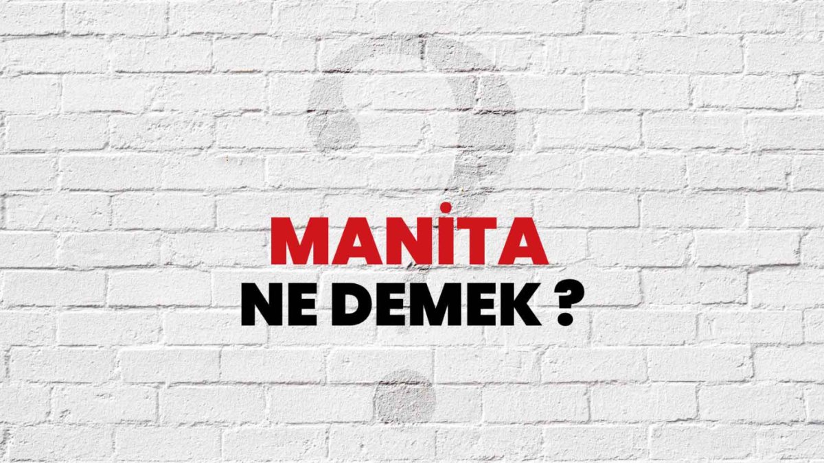 Manita Ne Demek: Türk Dilinde Manitanın Anlamı ve Kullanımı