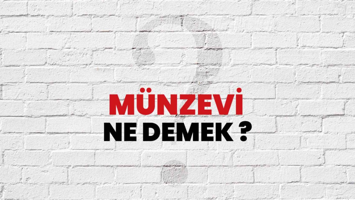 Münzevi Ne Demek?