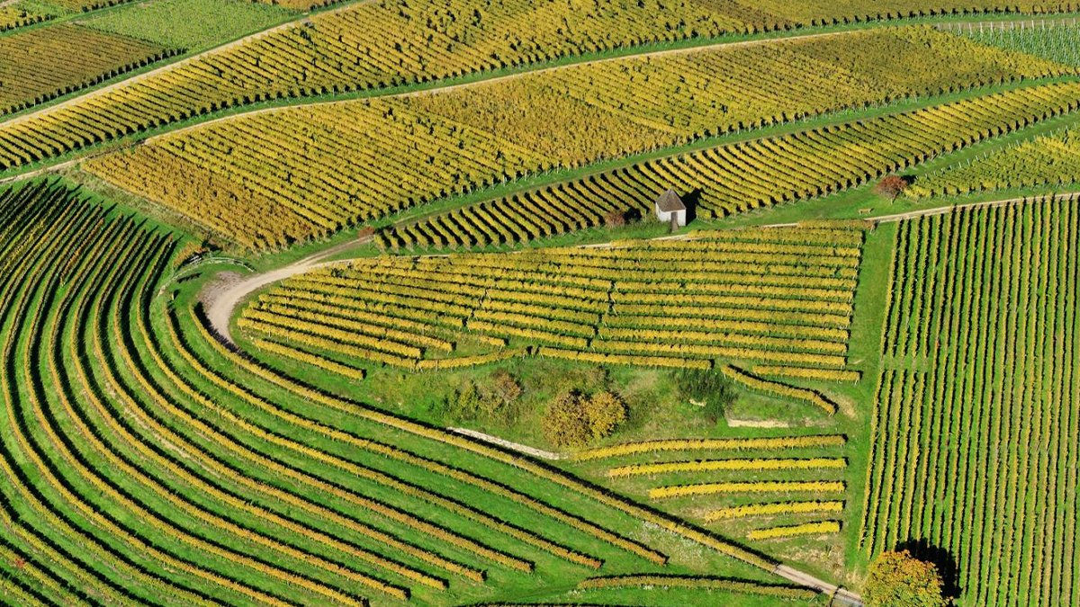 Konut alamayan tarla aldı: Arsa furyasında beklenen tehlikeler
