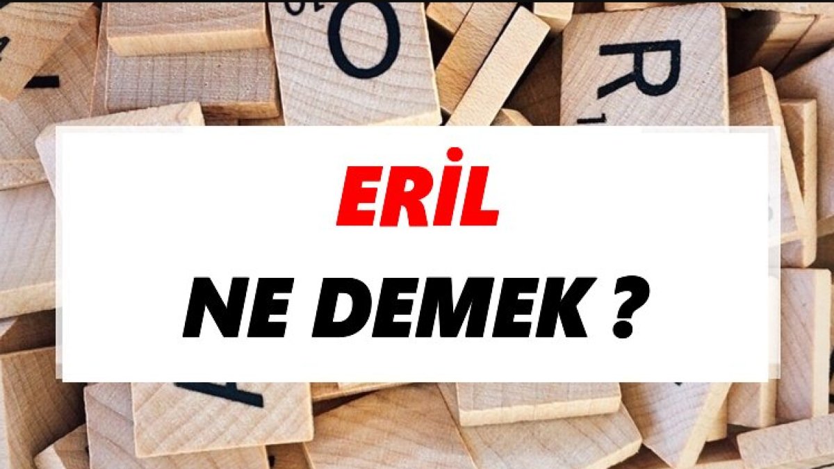 Eril Ne Demek? Türk Dilinde Cinsiyet Belirleyiciler