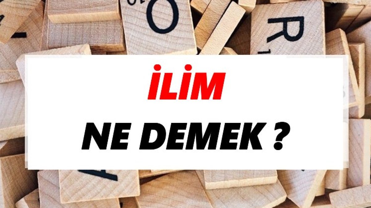 İlim Ne Demek: Bilginin Anlamı ve Önemi