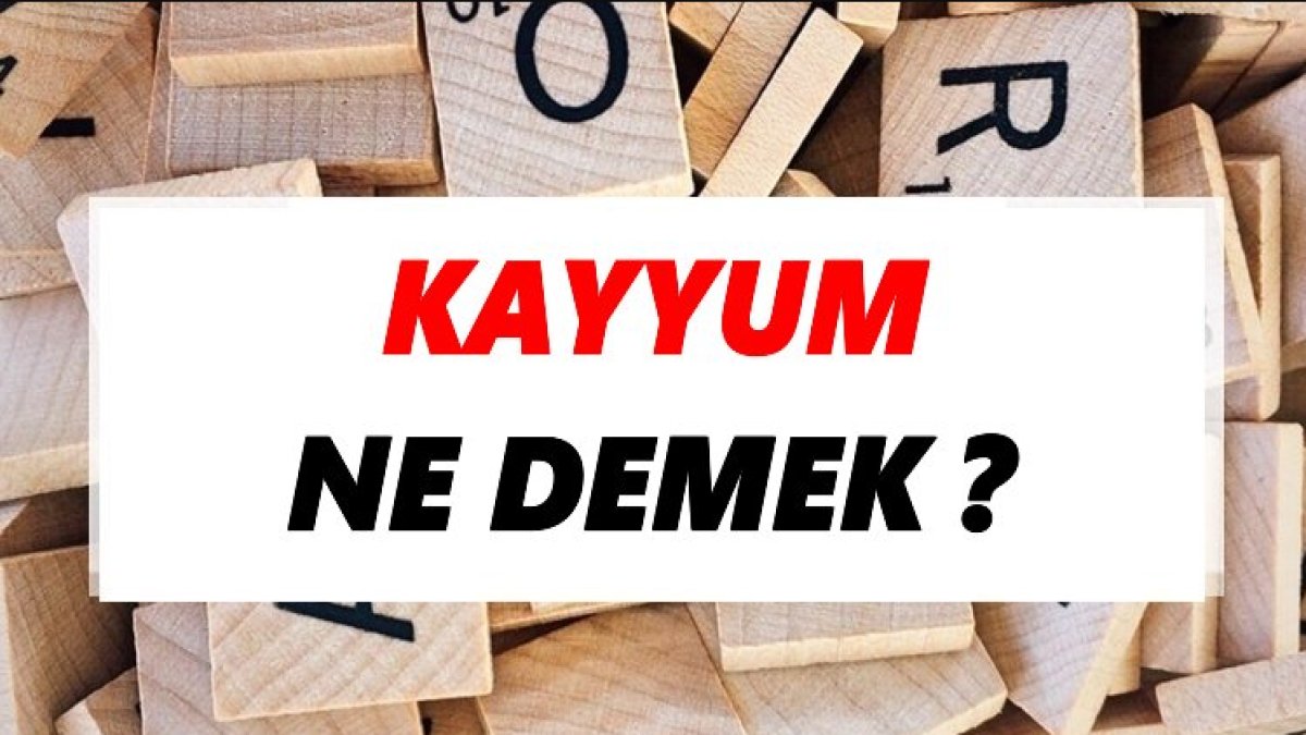 Kayyum Ne Demek: Türkçede Kayyumun Anlamı ve Görevleri