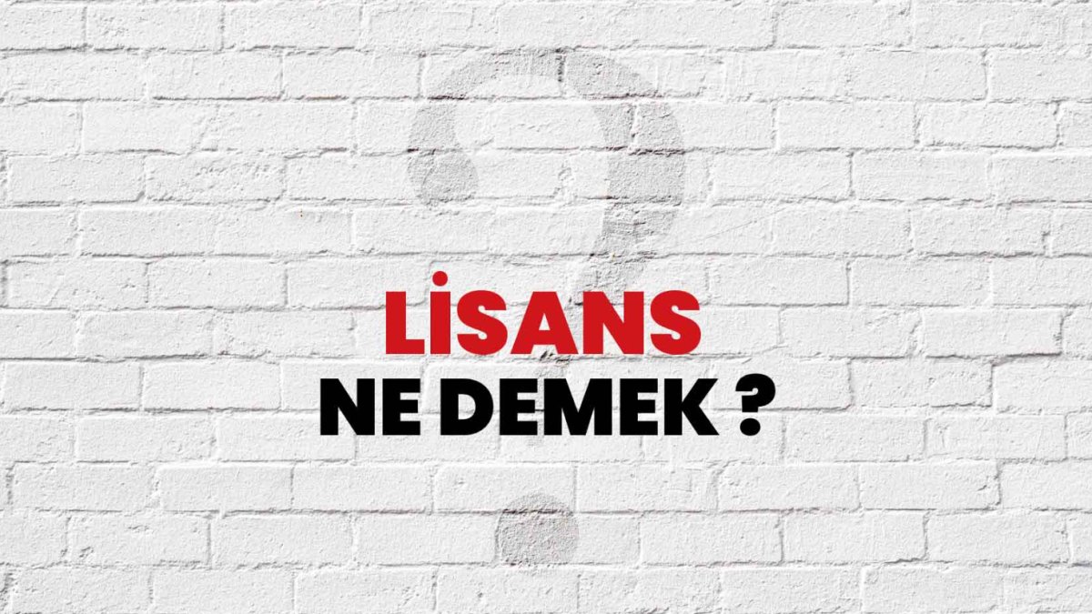 Lisans Ne Demek?