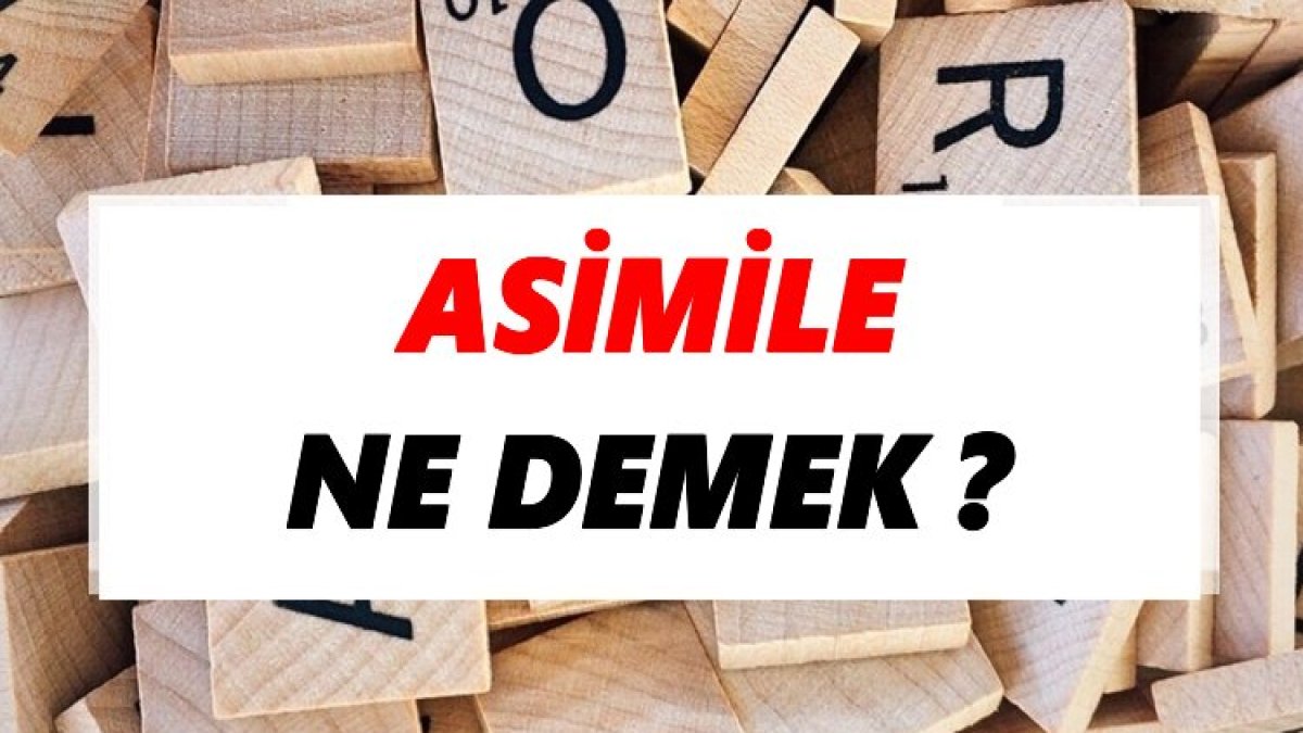 Asimile Ne Demek? - Türkçede Kültürel Uyum Süreci