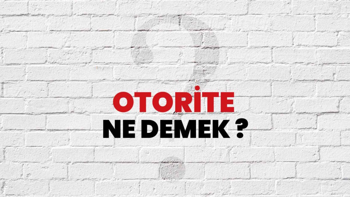 Otorite Nedir?