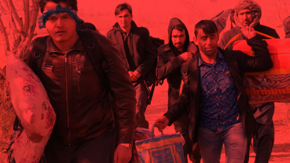 Ne var ne yok yiyorlar, tam bir istila sürüsü! Dünyanın dört bir yanından kötü haberler geliyor, sıradaki durak Türkiye