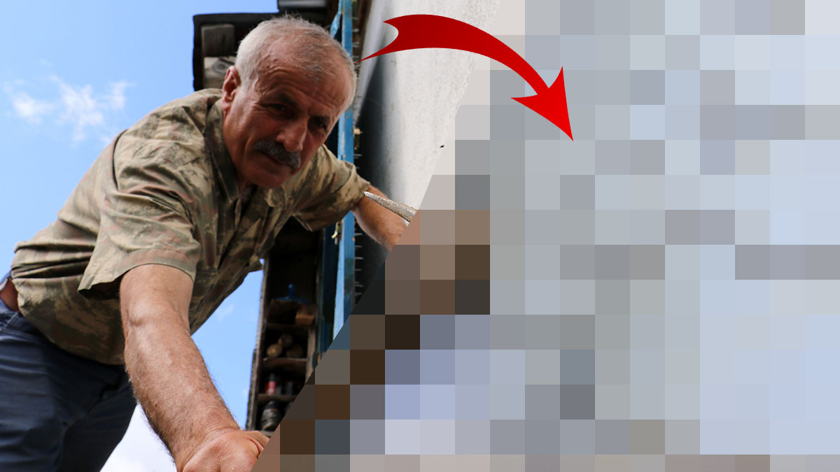 Ayı tehdidine Karadeniz usulü çözüm! Öyle bir düzenek kurdu ki ayılar eve yaklaşmaya cesaret dahi edemiyor