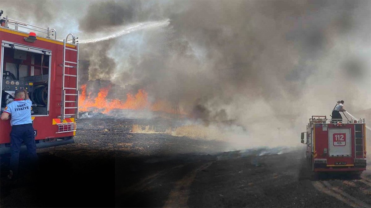 Siirt cayır cayır yandı! 130 dekar tarım arazisi küle döndü