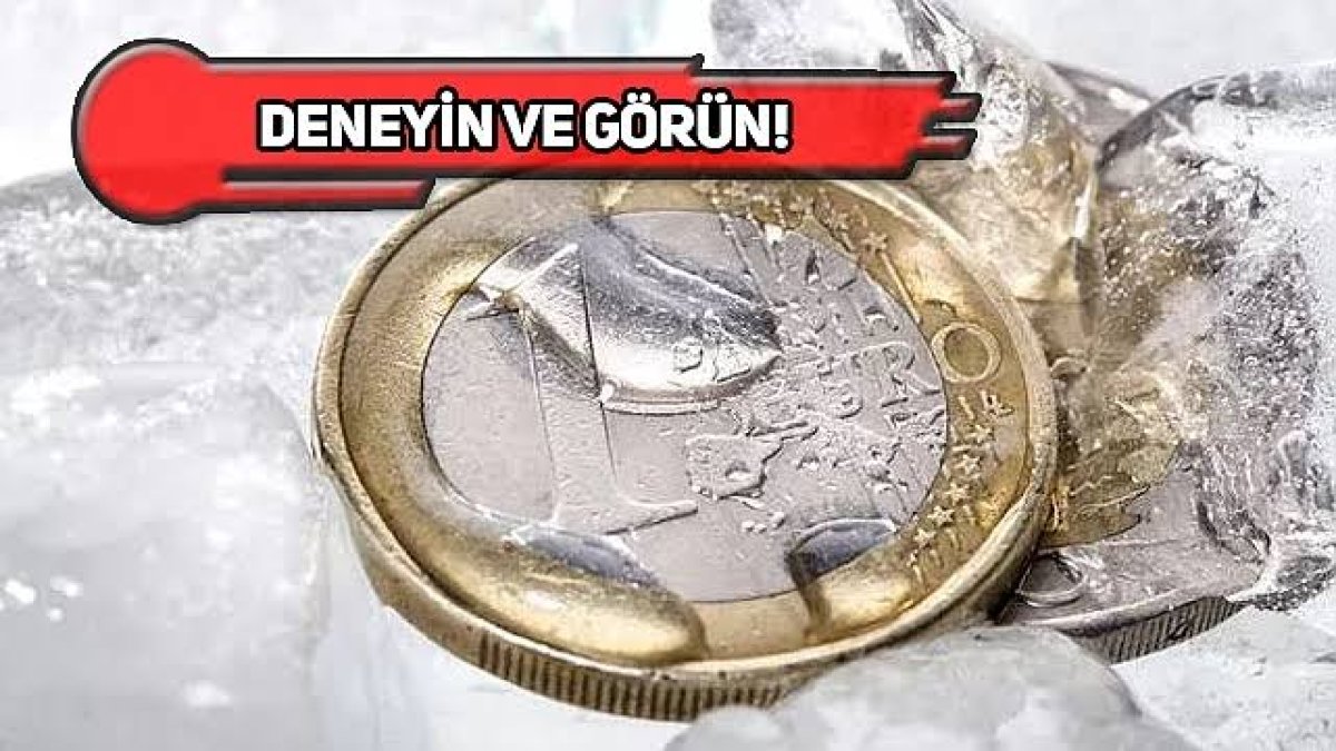 Buzdolabına madeni para koyan inanamıyor! 10 gün sonra inanılmaz mucize