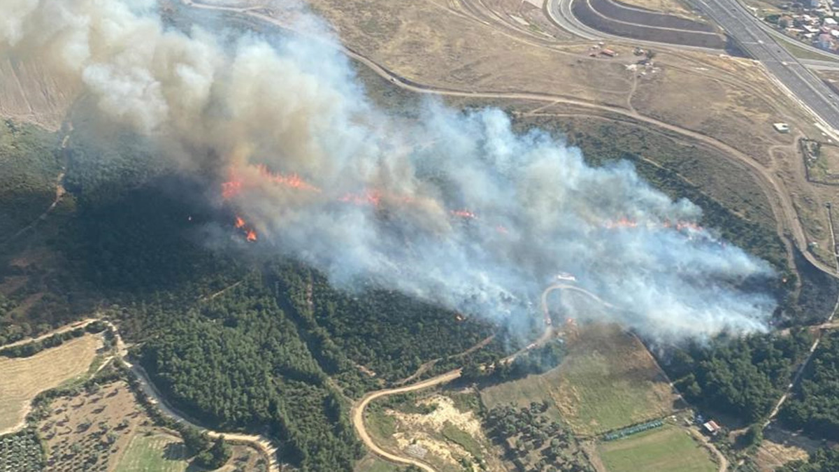 İzmir'de korkutan yangın
